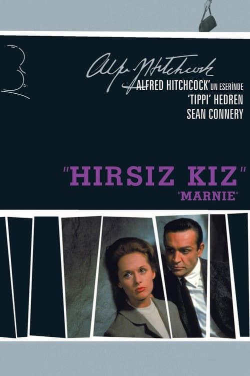 Hırsız Kız afişi
