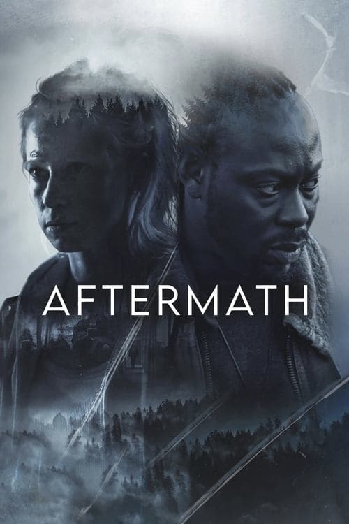 Aftermath afişi