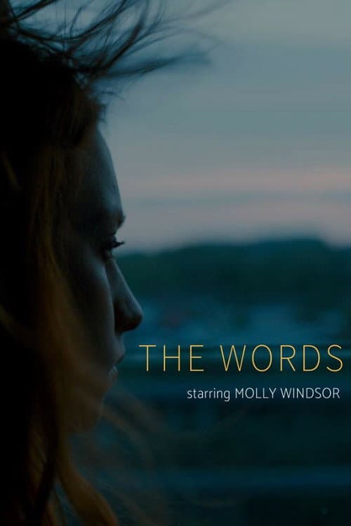 The Words afişi