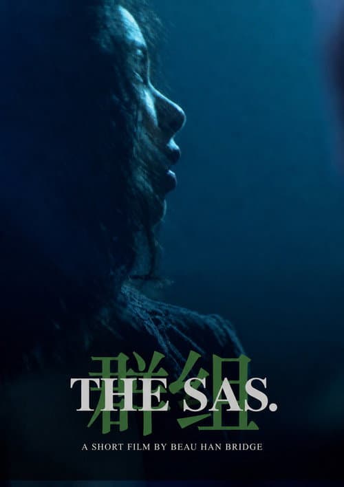 The SAS afişi