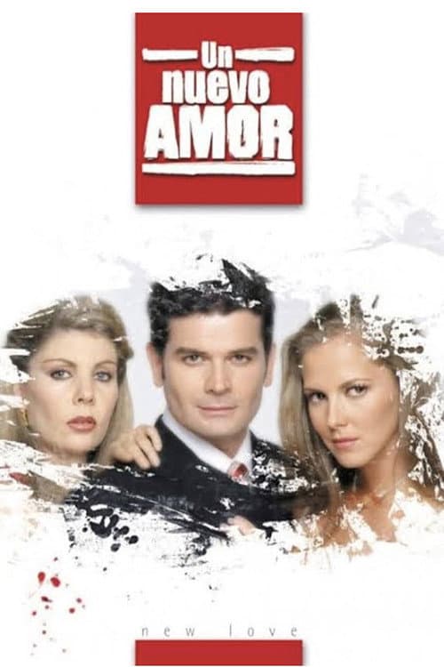 Un nuevo amor afişi