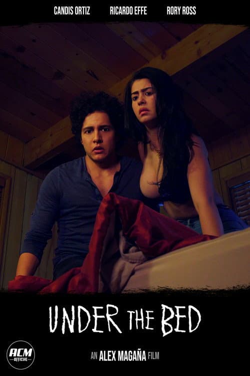 Under the Bed afişi