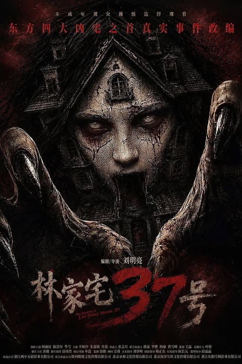 林家宅37号 afişi