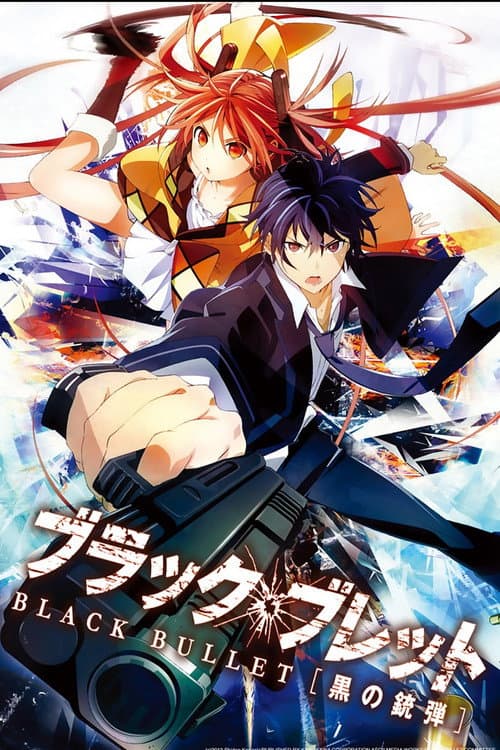 Black Bullet afişi