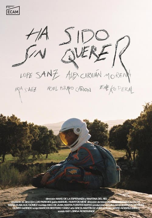 Ha Sido Sin Querer afişi