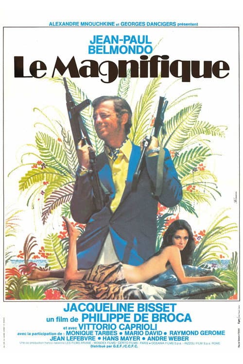 Le Magnifique afişi