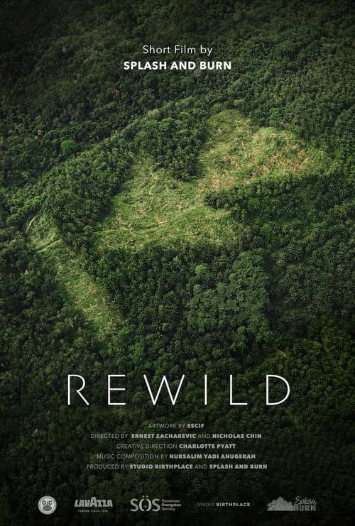 Rewild afişi