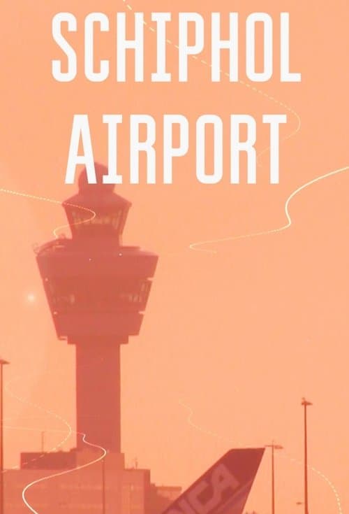 Schiphol Airport afişi
