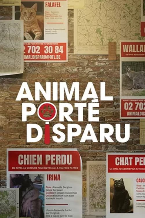 Animal porté disparu afişi