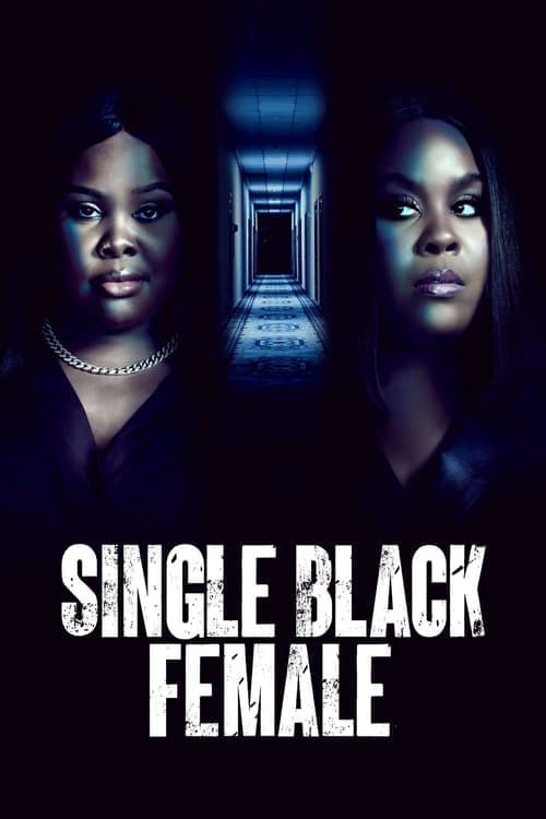 Single Black Female afişi