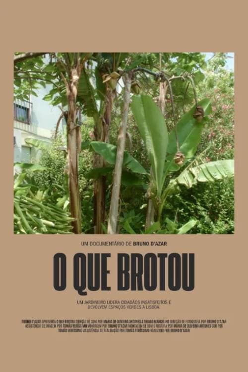 O Que Brotou afişi
