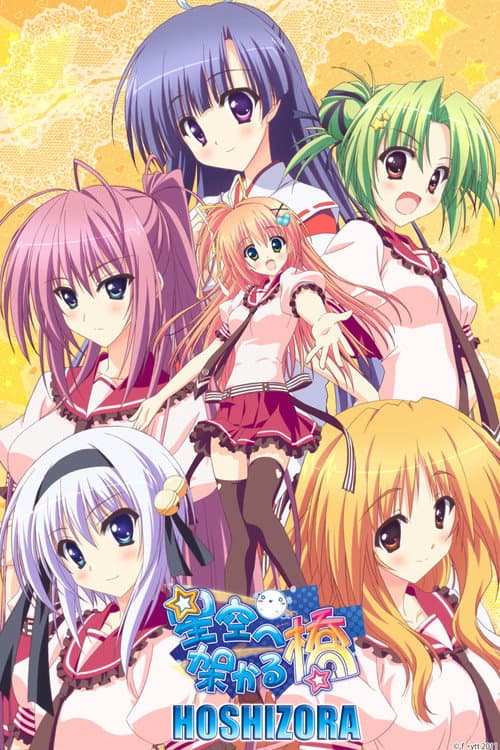 A Bridge to the Starry Skies afişi