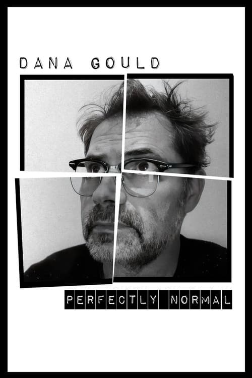 Dana Gould: Perfectly Normal afişi
