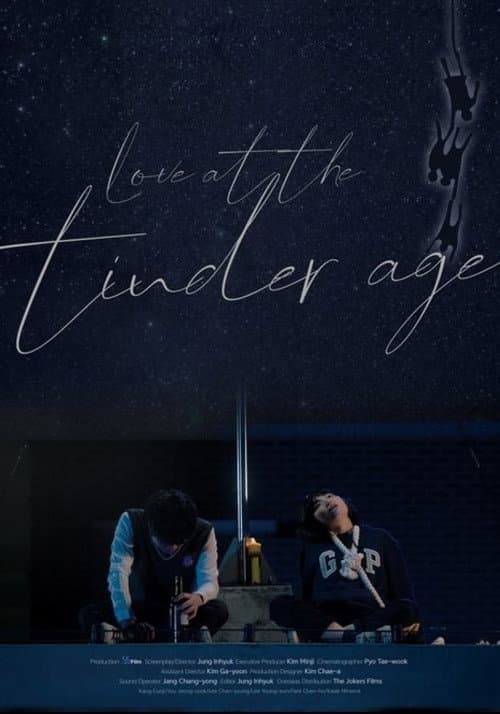 Love at the Tinder Age afişi
