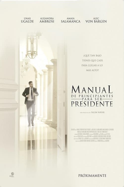 Manual de principiantes para ser presidente afişi