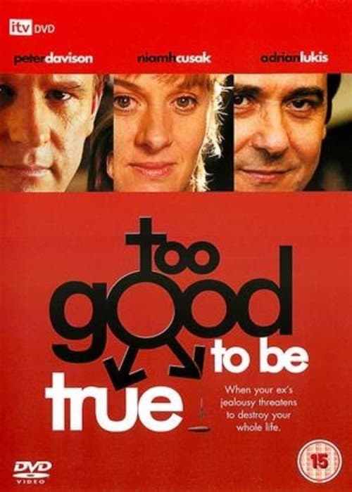 Too Good to Be True afişi