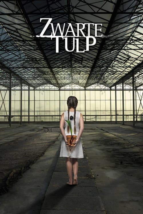 Zwarte Tulp afişi