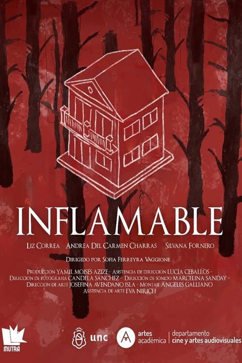 Inflamable afişi