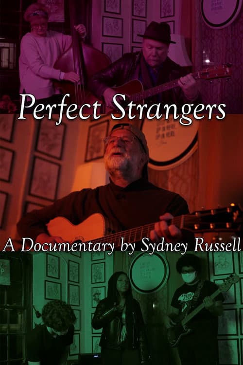 Perfect Strangers afişi