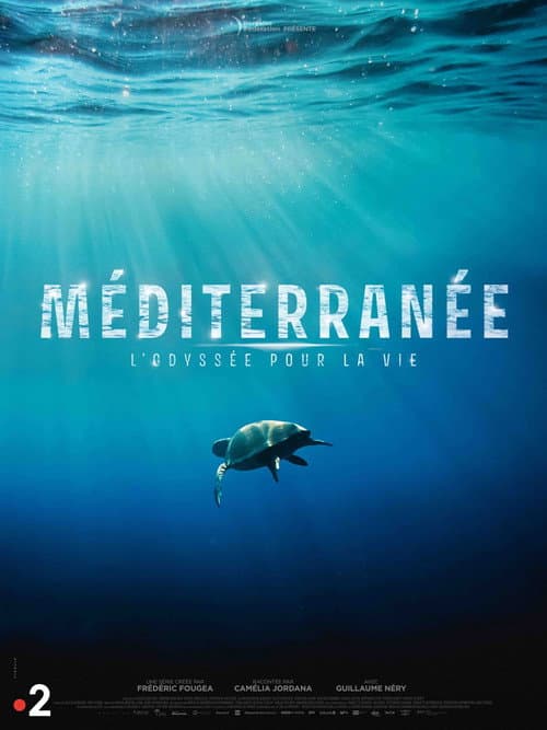Méditerranée: L'odyssée pour la vie afişi