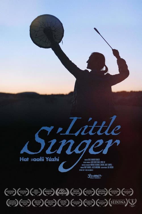 Little Singer afişi