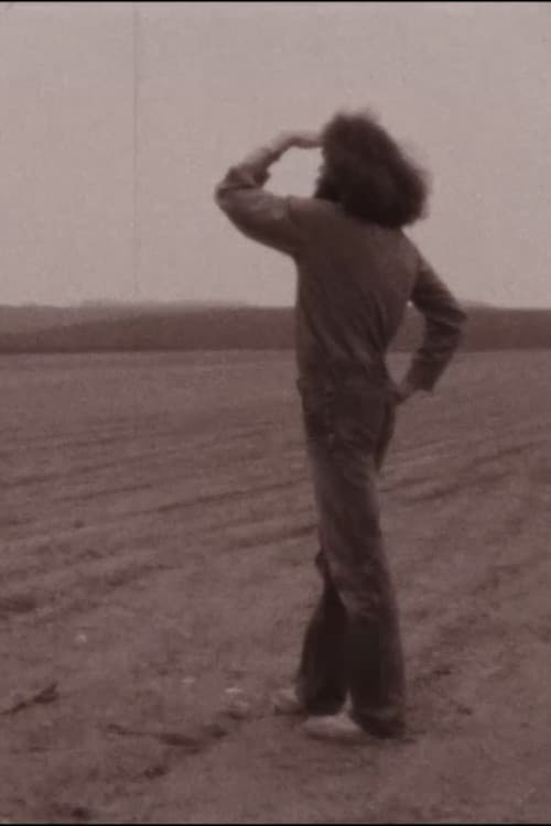 Svatební dar afişi
