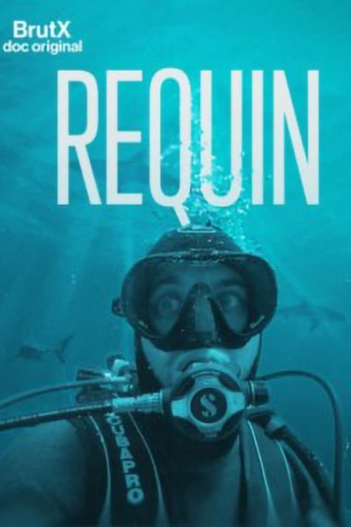 Requin afişi
