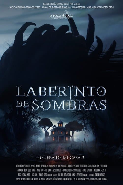 Laberinto de sombras afişi