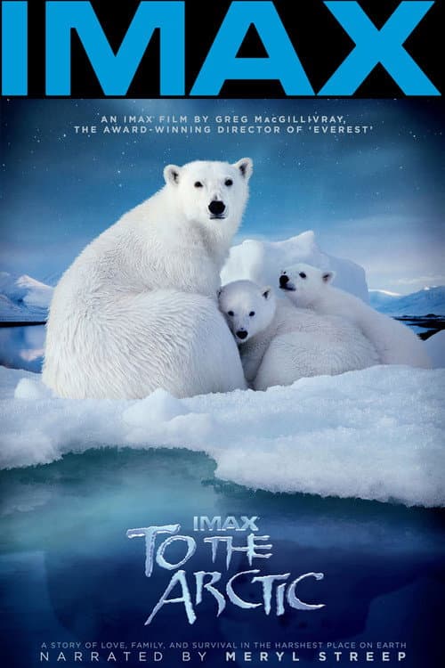 To the Arctic 3D afişi