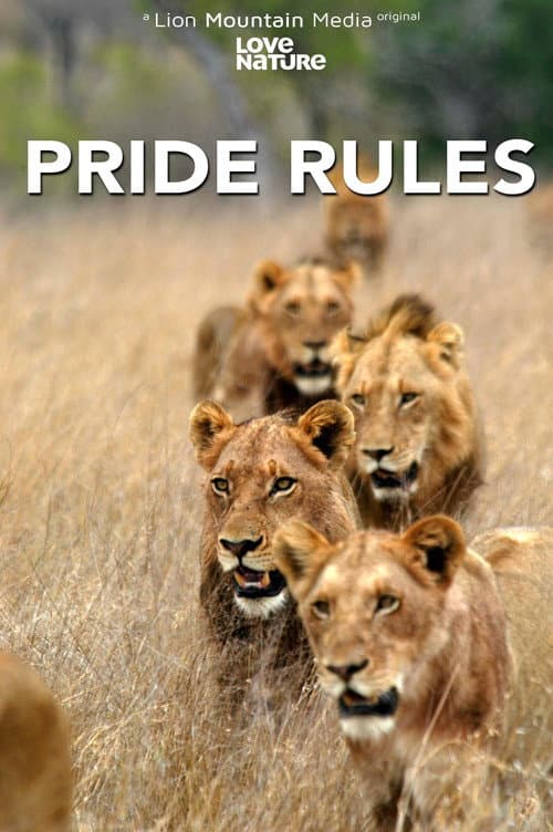 Pride Rules afişi