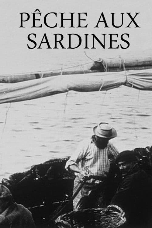 Pêche aux sardines afişi