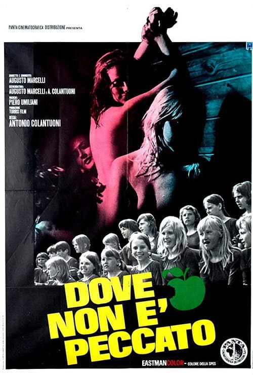 Dove non è peccato afişi