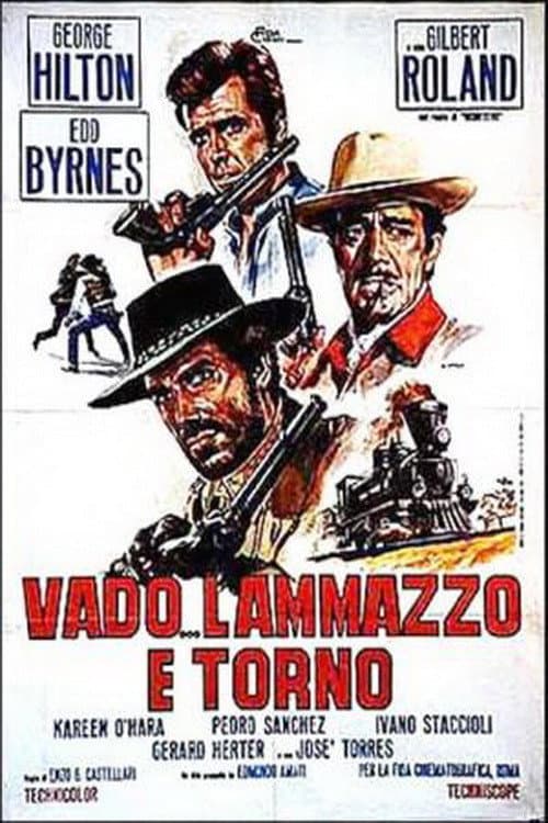 Vado... l'ammazzo e torno afişi