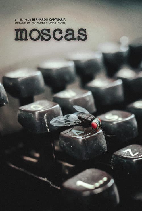 Moscas