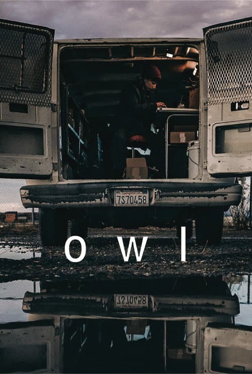Owl afişi