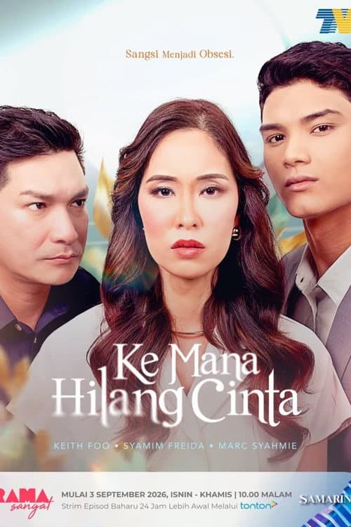 Ke Mana Hilang Cinta afişi