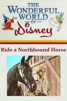 Ride a Northbound Horse afişi