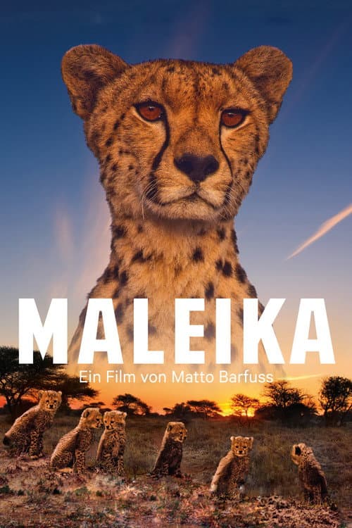 Maleika afişi