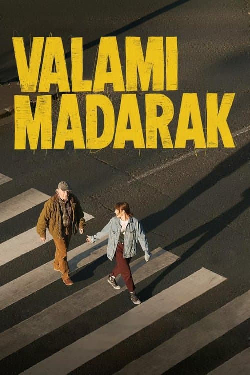 Valami madarak afişi