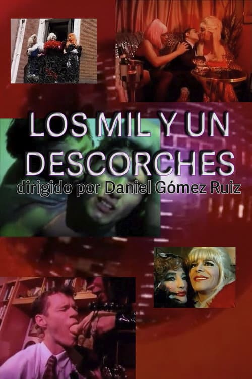 Los 1001 descorches afişi
