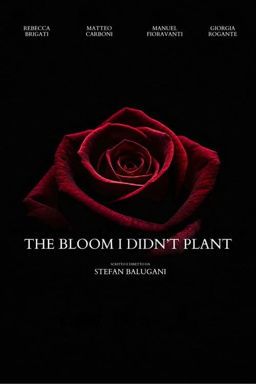 The Bloom I Didn't Plant afişi