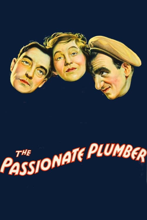 The Passionate Plumber afişi