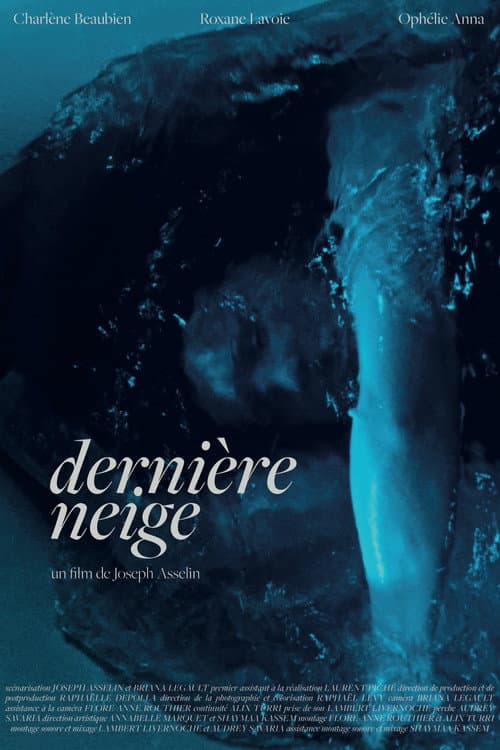 Dernière neige afişi