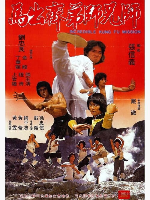 Incredible Kung Fu Mission afişi