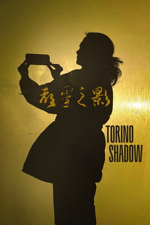 Torino Shadow afişi