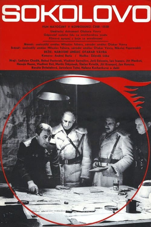 Sokolovo afişi
