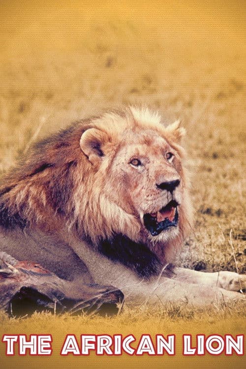 The African Lion afişi