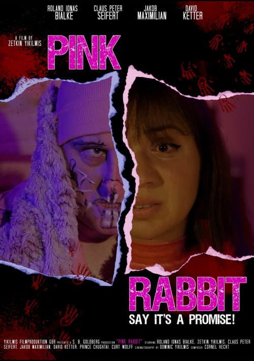 Pink Rabbit afişi