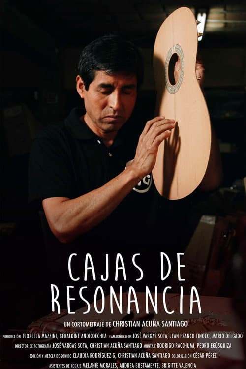 Cajas de resonancia afişi