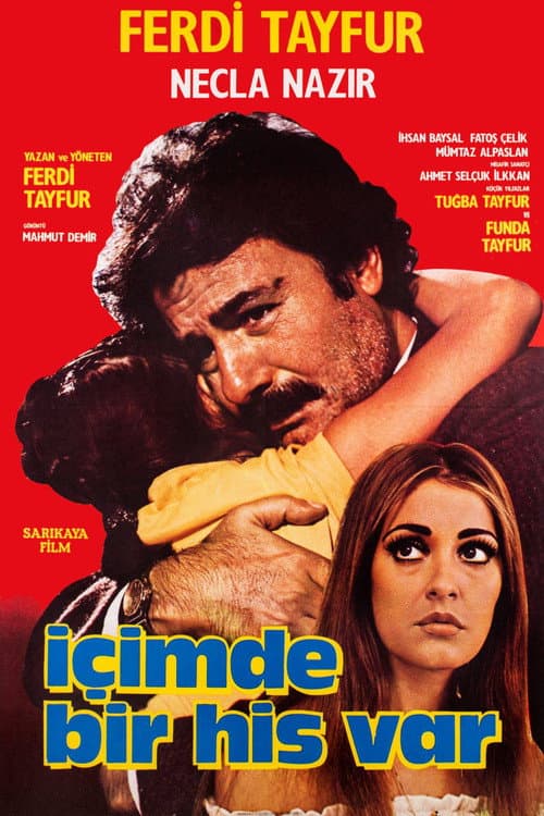 İçimde Bir His Var afişi